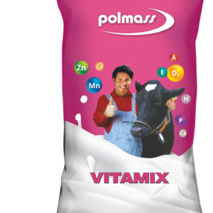 Vitamix opas mamki