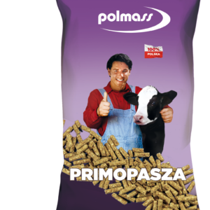 Primopasza