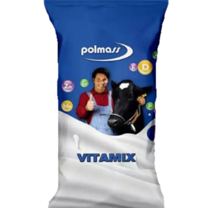 Vitamix